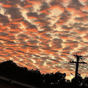 Meet your Posher, Denisse